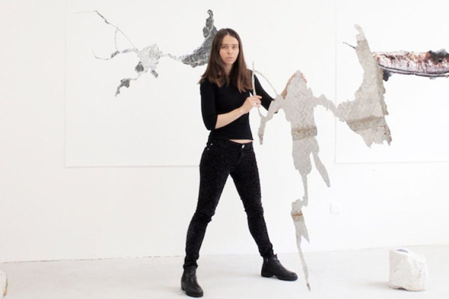 L'art de l'Artiste Anna Tomaszewski